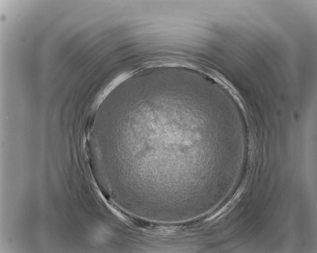 X0000087691385200705181744