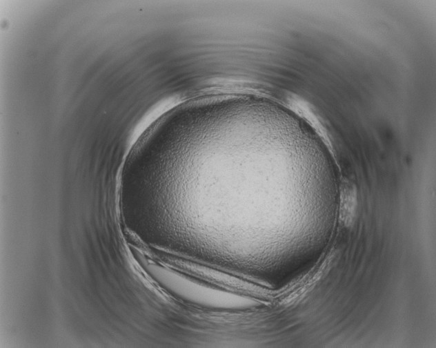 X0000087691386200705181744