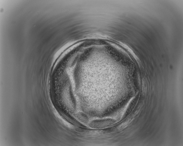 X0000087691387200705181744