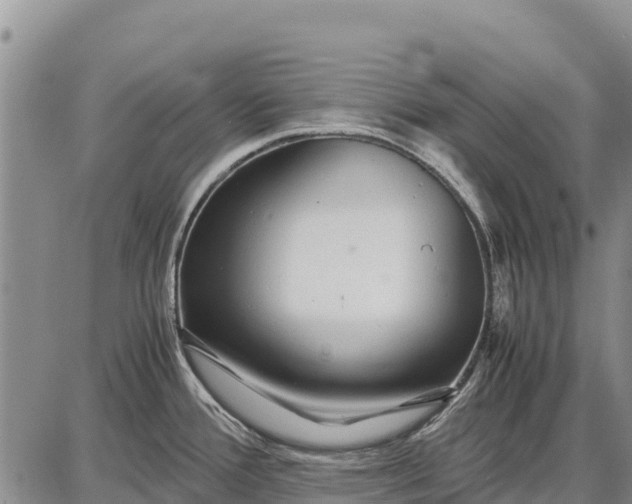 X0000087691388200705181744