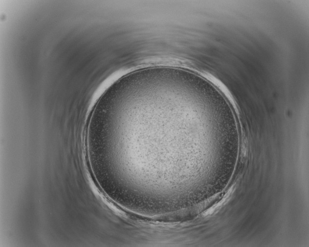 X0000087691389200705181744