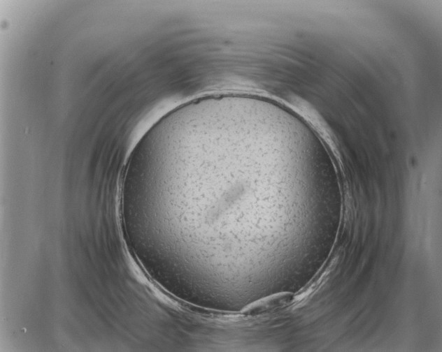 X0000087691390200705181744