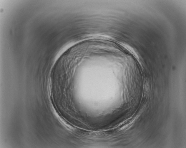 X0000087691391200705181744