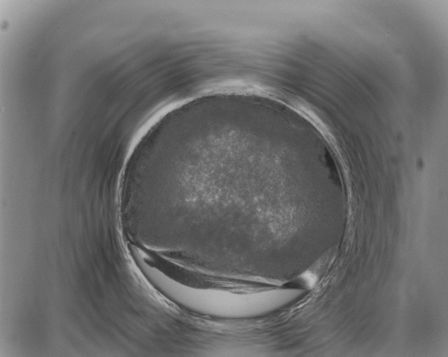 X0000087691392200705181744