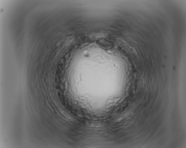 X0000087691393200705181743