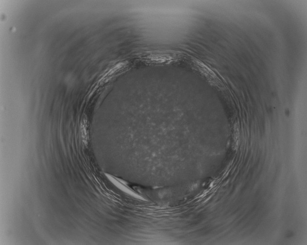 X0000087691394200705181743