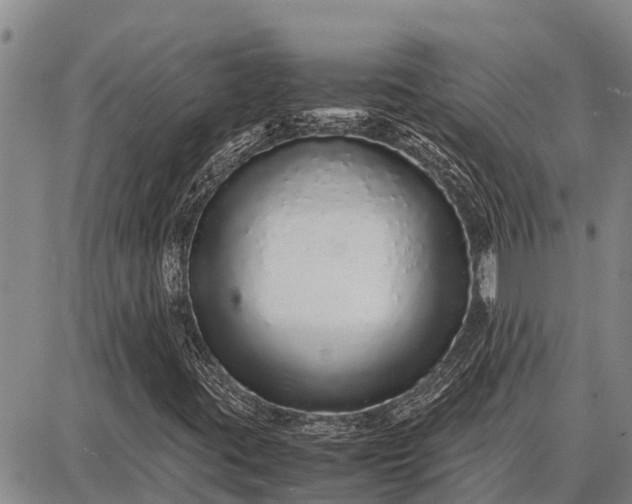 X0000087691395200705181743