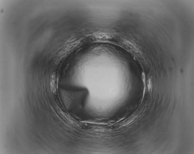 X0000087691396200705181743