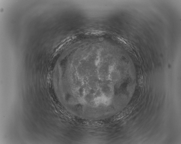 X0000087691397200705181743