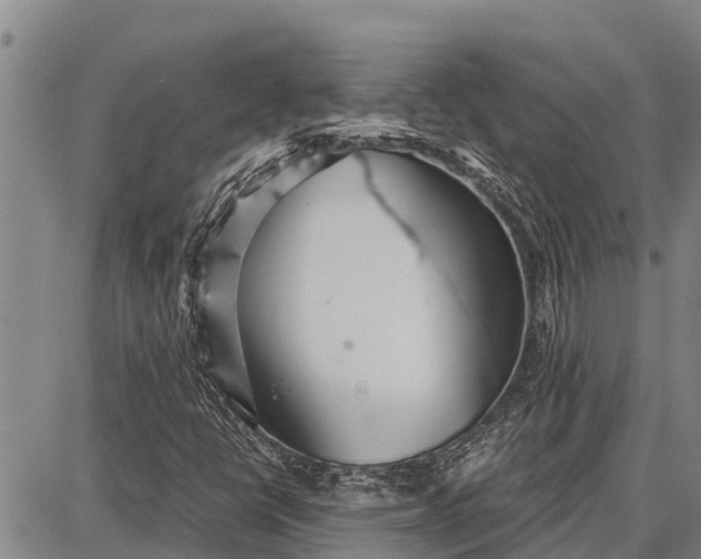 X0000087691398200705181743