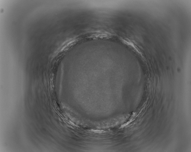 X0000087691399200705181743