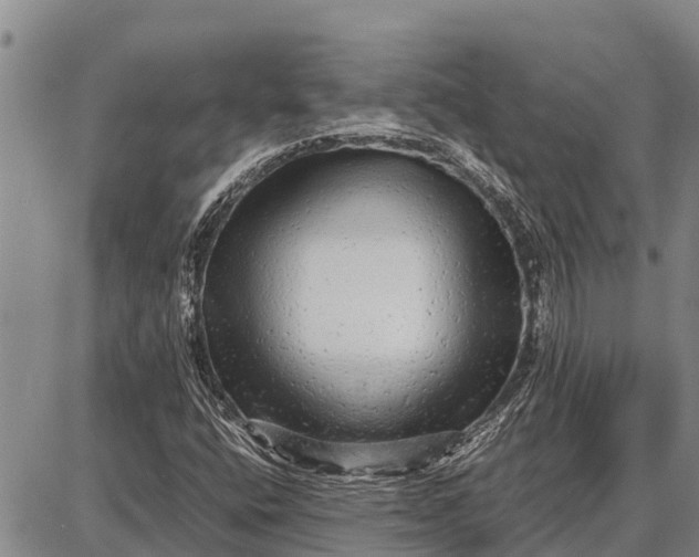 X0000087691400200705181743