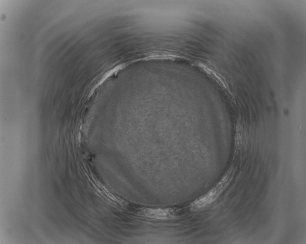 X0000087691401200705181743