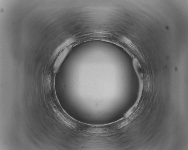 X0000087691402200705181743