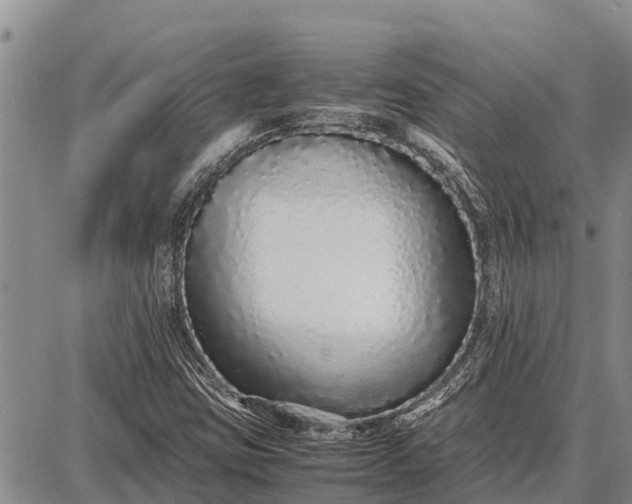 X0000087691403200705181743