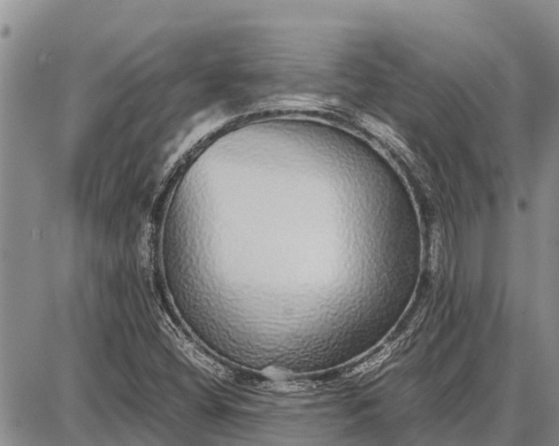 X0000087691404200705181743