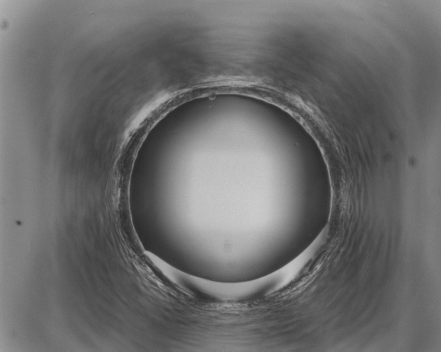 X0000087691406200705181743