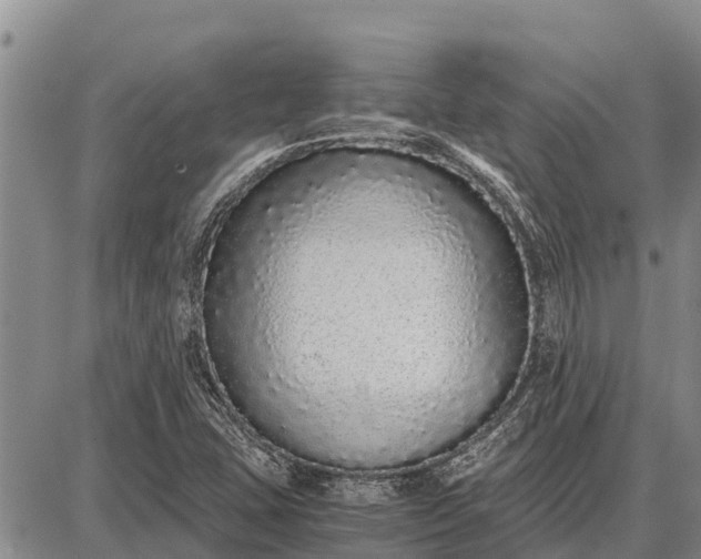 X0000087691407200705181743