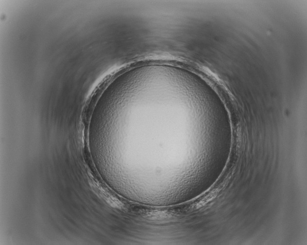 X0000087691408200705181743