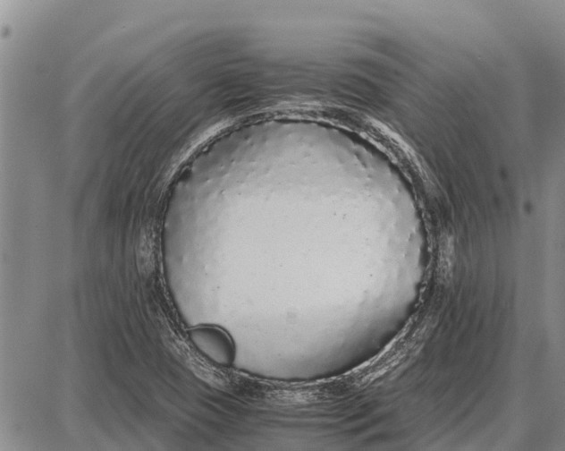 X0000087691409200705181743