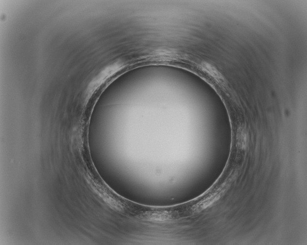 X0000087691410200705181743