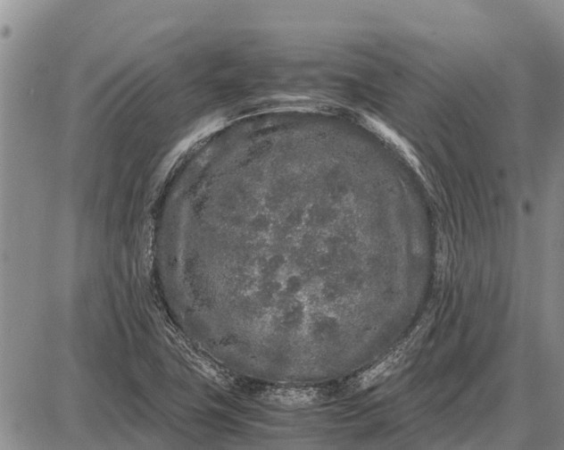 X0000087691411200705181743