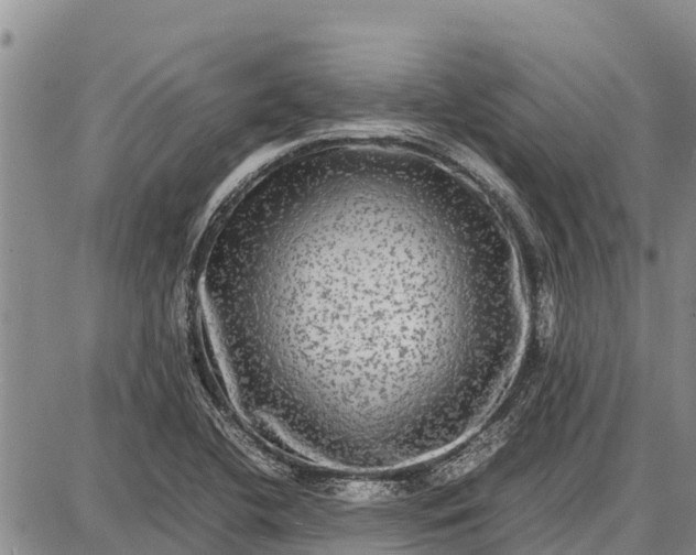 X0000087691412200705181743