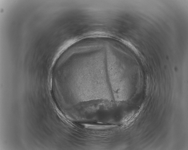 X0000087691413200705181743