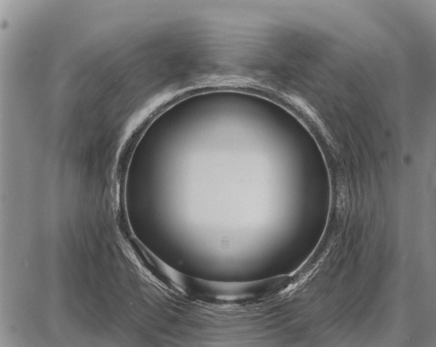 X0000087691414200705181743