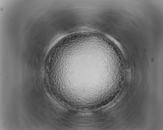 X0000087691415200705181743