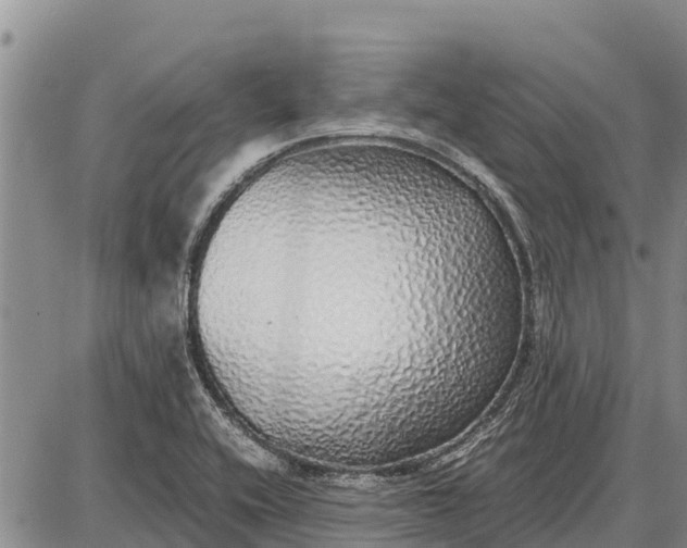 X0000087691416200705181743