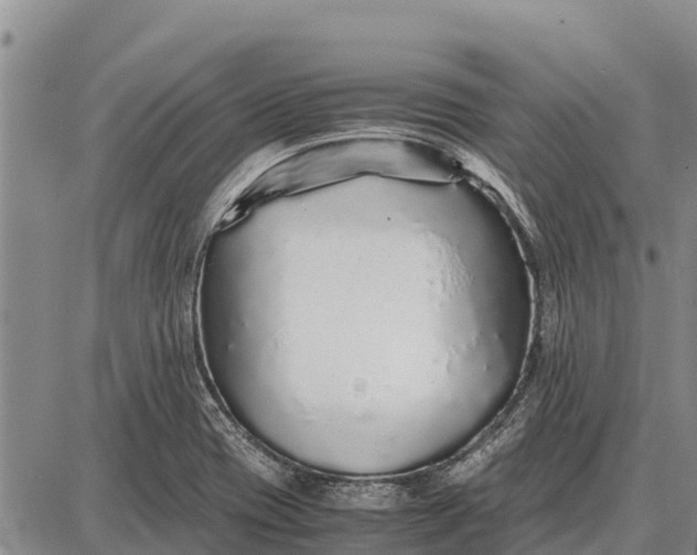 X0000087691417200705181743