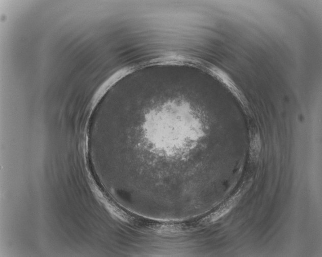 X0000087691418200705181743