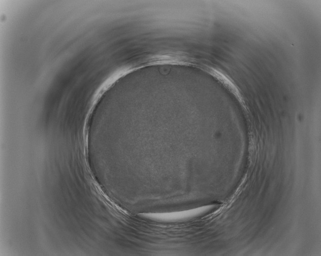 X0000087691419200705181743