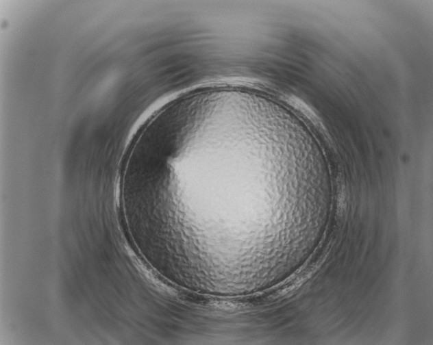 X0000087691420200705181743