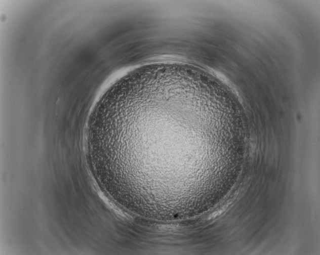 X0000087691421200705181743