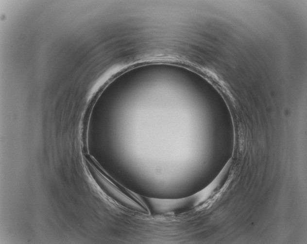 X0000087691422200705181743