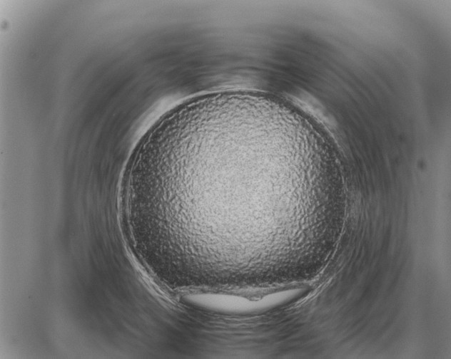 X0000087691423200705181743