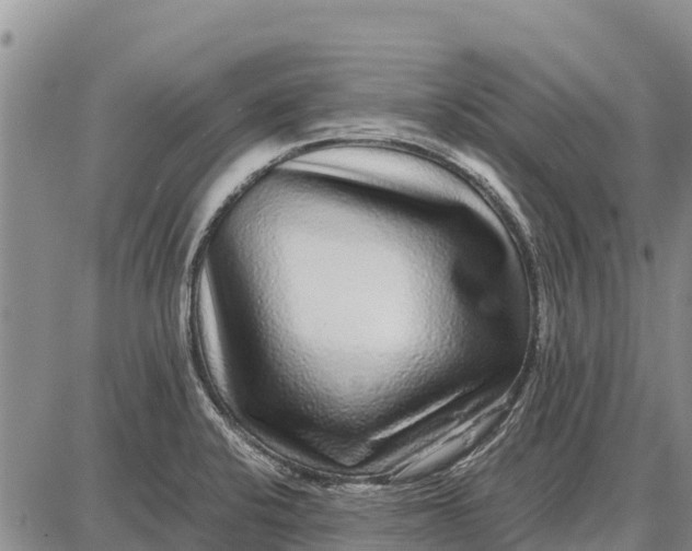 X0000087691424200705181743