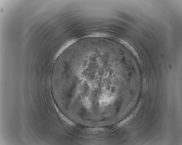 X0000087691425200705181743