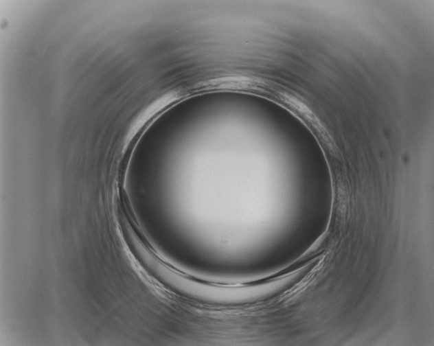 X0000087691426200705181743