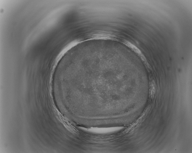 X0000087691427200705181743