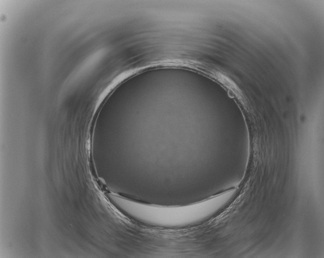 X0000087691428200705181743