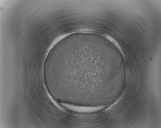 X0000087691429200705181743