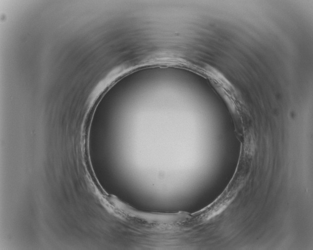 X0000087691430200705181743