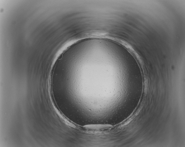 X0000087691432200705181743