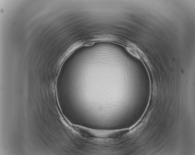 X0000087691433200705181743