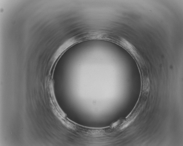 X0000087691434200705181743