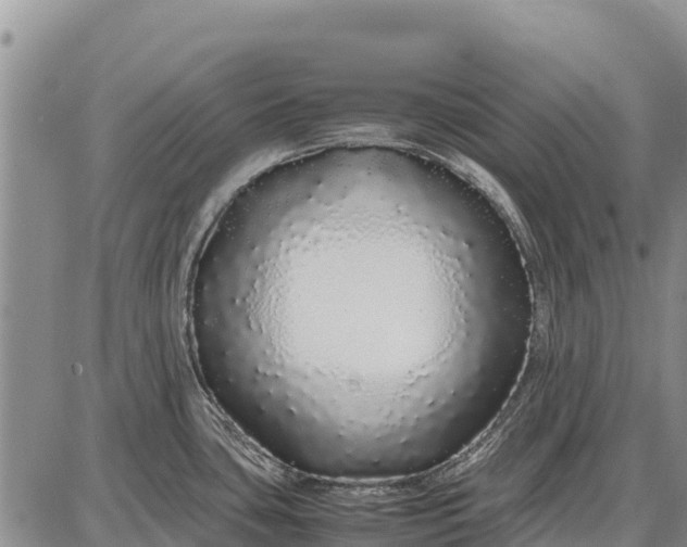 X0000087691435200705181743