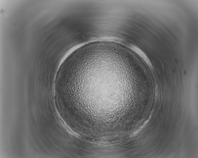 X0000087691436200705181743